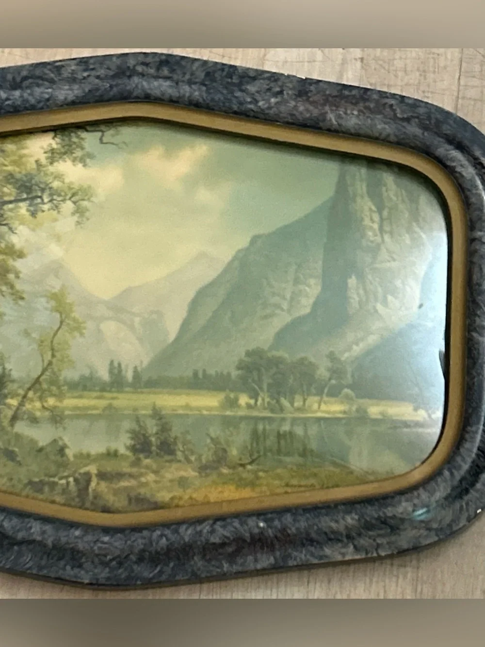 True Vintage Early 1900's Landscape Wall Art-Framed Yosemite Mountain Lake Print